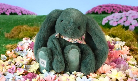 image de la Collection 